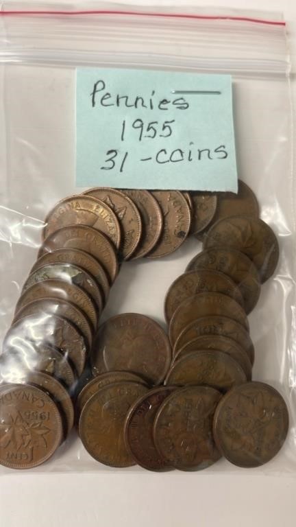 31 1955 Canadian Pennies