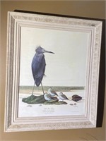 Framed Little Blue Heron by Ray Harm