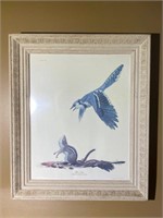 Framed Blue Jay by Ray Harm