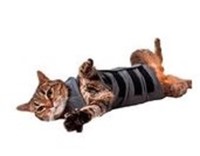 MSRP $12 Cat Thunder Shirt