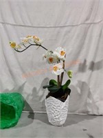 Orchid In Decorative Pot