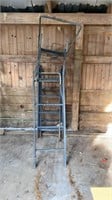 Deer  Ladder stand