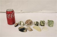 10 Decorative Seashells #2