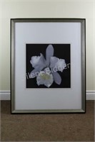 XX Large Professionally Framed Orchid Artwork