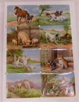 Sheet of 1930's Germany farm animal flash cards,