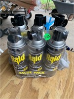 Raid Wasp Spray