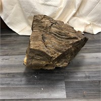 PETRIFIED WOOD