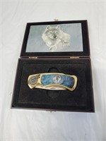 Wolf collector folding knife in box