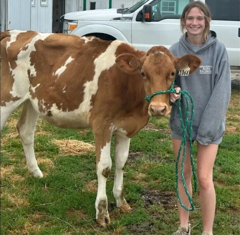 Jay County 4-H Livestock Auction