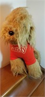 Sandy dog from Annie movie
