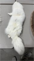 ARCTIC FOX HIDE 37" NOSE TO TAIL
