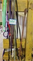 Assortment of Collars & Leads