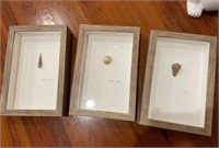 Set of 3 Nautical Shell Beach Shadowbox Framed