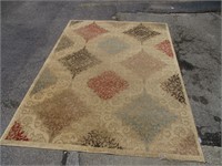 Area Rug 62x88"