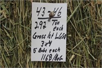 Hay-3x4 Lg.squares-Grass 1st-5Bales