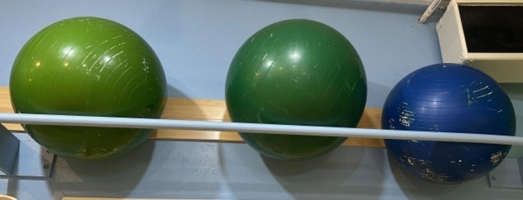 Lot of (3) Therapy Balls