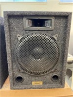 Stereo Monitor Cabinets with 12 inch Speaker