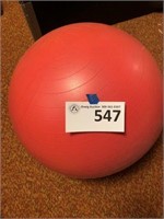 Exercise Ball