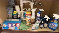 Bathroom Cleaners Under Sink most full