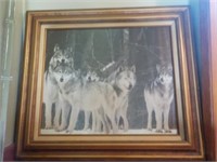 Large wolf picture