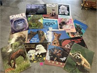 16 classroom posters - animals