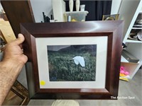 Egret in Flight Print