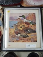 (2) Duck Prints