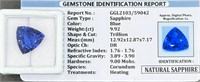 Natural Sapphire 9.92 Carat Trillion Cut Gemstone