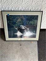 Orca Picture Garage
Glass Damage