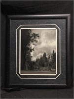 Ansel Adams High Quality Photo-Lithograph On