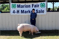 Market Swine- Abram Johnson