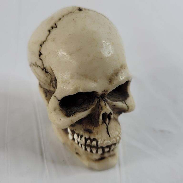 1996 W.U. miniature Skull decoration
