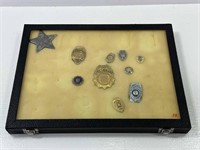 Badges and Display Cabinet (Sheriff, Patrolwoman)