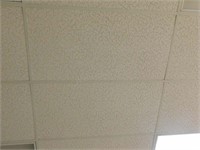 Ceiling tile 24 by 48  +/- 150 pieces