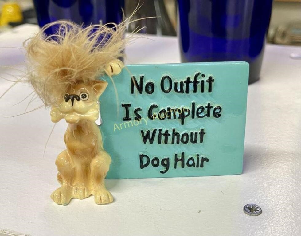 NO OUTFIT COMPLETE WITHOUT DOG HAIR SIGN