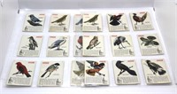 Lot of 20 Coca-Cola "Birds" Collector Cards