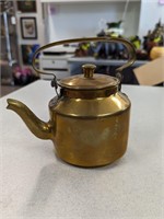Vintage Brass Gooseneck Teapot Water Kettle