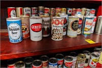 Variety of 16 Beer Cans