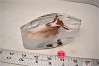 Antelope Etched Glass Paperweight