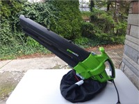 Greenworks Leaf Blower-Vacuum WORKS