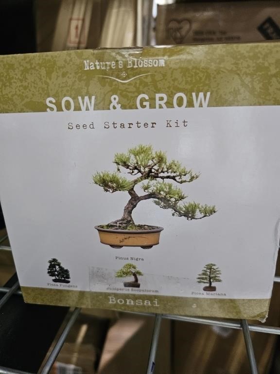 Sow & frow bonsai plant
