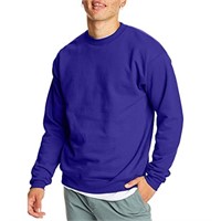 Size Small Hanes Mens EcoSmart Sweatshirt,