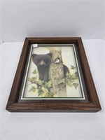 Signed Shadowbox Bear Picture
