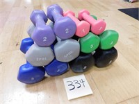 Hand Weight Set