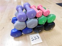 Hand Weight Set