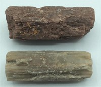Fossilized/ Petrified Wood Specimens