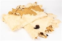 Taxidermy Fur Pelts/Rugs, 2