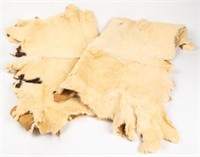 Taxidermy Fur Pelts/Rugs, 2