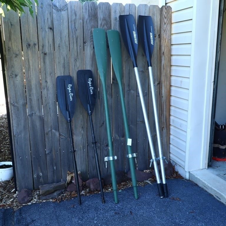 Lot of Oars