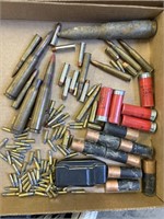 Assorted Rounds and 30-06 Magazine